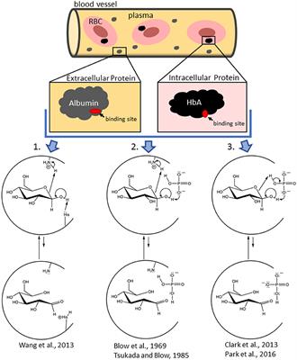 A Perspective on Reagent Diversity and Non-covalent Binding of Reactive Carbonyl Species (RCS) and Effector Reagents in Non-enzymatic Glycation (NEG): Mechanistic Considerations and Implications for Future Research